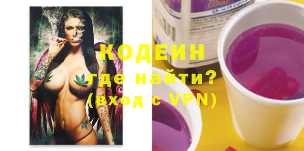 молекула духа Няндома