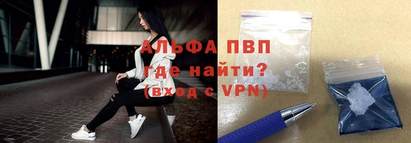 молекула духа Няндома