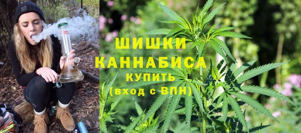 молекула духа Няндома