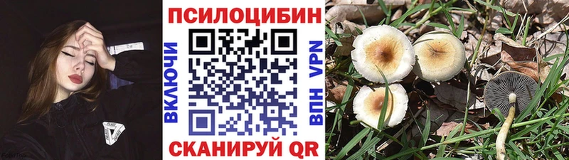Галлюциногенные грибы Magic Shrooms  купить наркоту  Кяхта 
